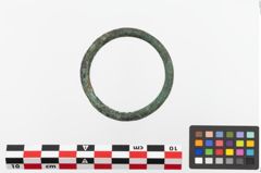 Foto von Bronzering (NHMW-PRAE-023741)
